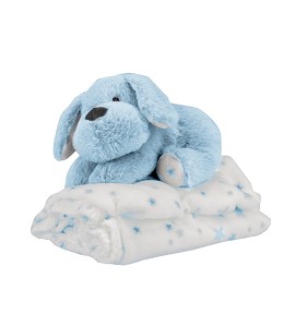 Set: Cardboard House to...