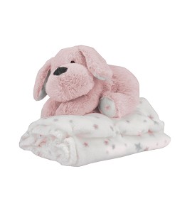 Set: Cardboard House to...