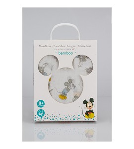 Disney Mickey Counting...